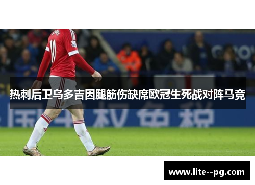 热刺后卫乌多吉因腿筋伤缺席欧冠生死战对阵马竞