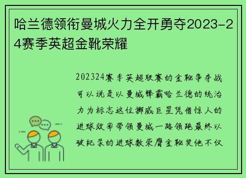 哈兰德领衔曼城火力全开勇夺2023-24赛季英超金靴荣耀